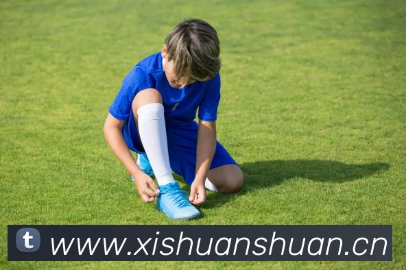 九游官网登录首页发展历程