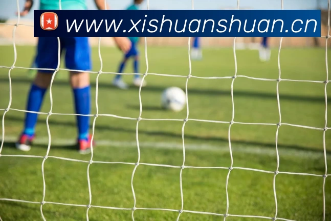 NBA2K24免费下载开启,篮球游戏玩家迎来入门新机遇